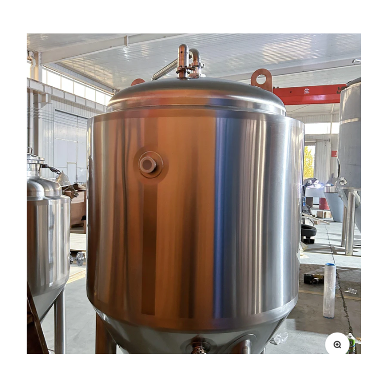 FERMENTADOR ISOBÁRICO KEGLAND 100 a...